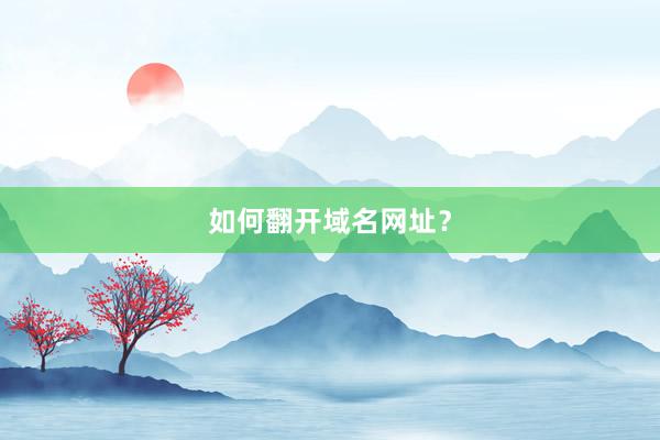 如何翻开域名网址？
